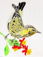 Warbler CP 9x12 drawing paper R.JPG