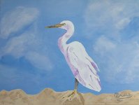 Egret Aug. 2021acylic 9x12 cp.jpg