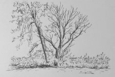 IMG_8791.jpeg