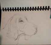 CS AW Challenge hound drawing Oct.jpg