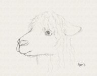 20211101DH Alpaca WIP1.jpg