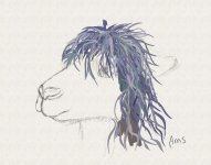 20211101DH Alpaca WIP2.jpg