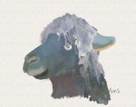 20211101DH Alpaca WIP4.jpg