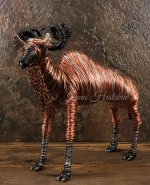 African Kudu 2.jpg