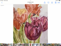 649F7903-1C3E-4CA0-B132-FCF6BB43939C.png