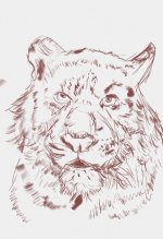 1tigre.jpg