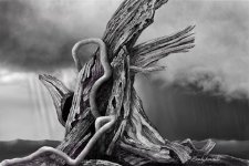 2023-03-003, High Place Idolatry.jpg