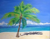 Coconut Palm 16x20 Acrylic Canvas.jpg