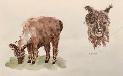 IMG_2520.jpeg