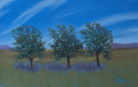 sonoitavineyardsfincrop.jpg