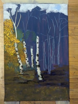 aspen grove01.jpg