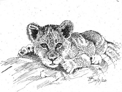 Lion Cub.jpg