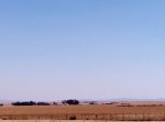 20200910_111230b.jpg