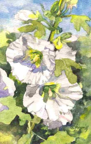 July Hollyhocks.jpg