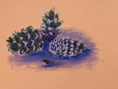 csshfl138pinecone.jpg