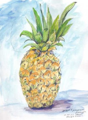 csshfl138pineapple.jpg