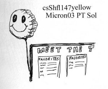 csshfl147yellow.jpg