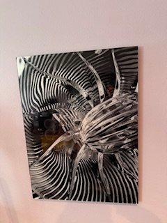 IMG_5928 (1).jpg