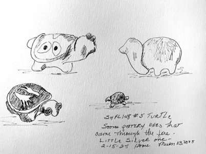 csshfl148turtle.jpg
