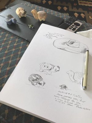 csturtles.jpg