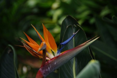 IMGP1131_sm.jpg