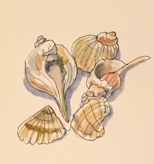 IMG_7260.jpeg