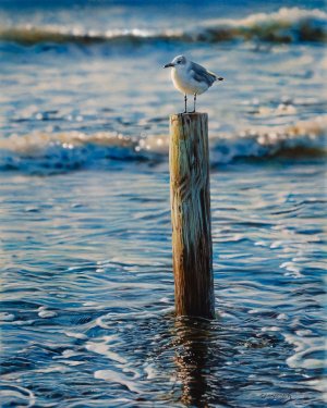 Johannes Wessmark-Sunrise in Galveston-20x16-Acrylic.jpg