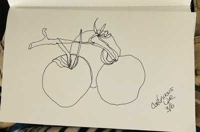 IMG_3096.jpeg