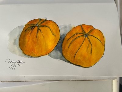 IMG_3102.jpeg