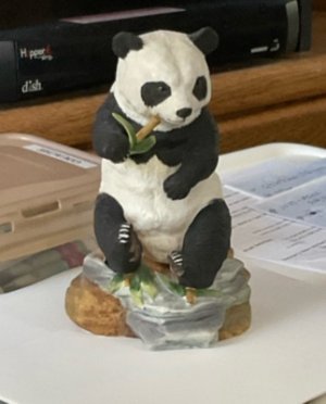 IMG_3115.jpeg
