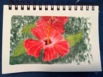 IMG_3122.jpeg