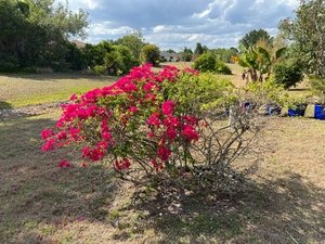 IMG_3164.jpeg