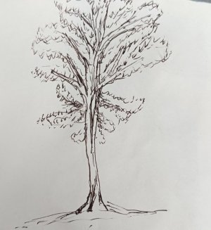 1000014103.jpg