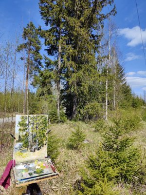 IMG20250518144933~2.jpg