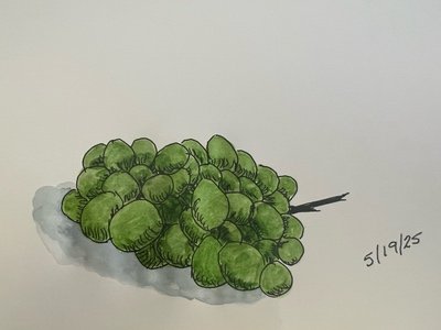 IMG_3203.jpeg