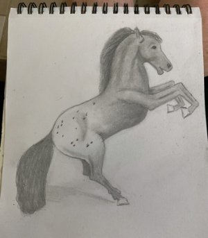 IMG_3230.jpeg