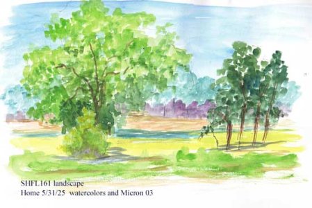 csshfl161landscape.jpg