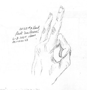 csshfl162hand.jpg