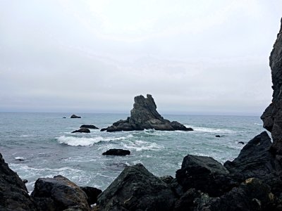 20250610_140537rs.jpg