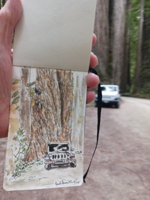 20250624_102714.jpg