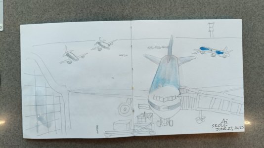 h163_plane2.jpg