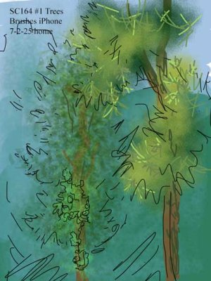 csshfl164trees.jpg