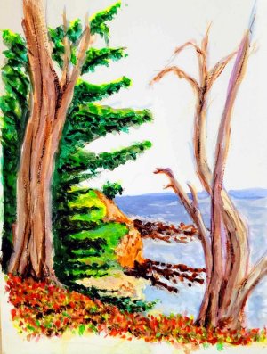 Seal Cove Gouached 2025.jpg
