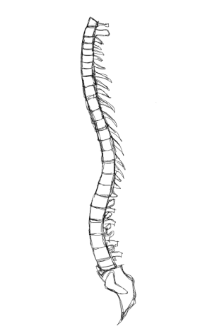 IMG_5402.png