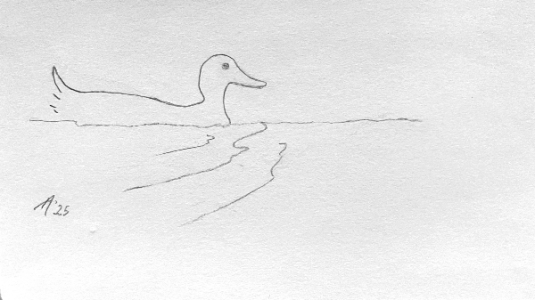 SH166 - 4 - duck.png