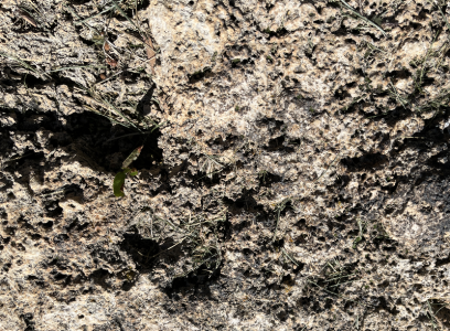 SH167 2c - rock - close-up.png