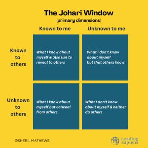 2-Johari-Window-Primary-dimensions-259082080.png