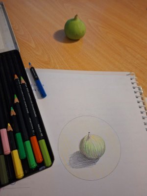 Fig_ 2025-08-15.jpeg