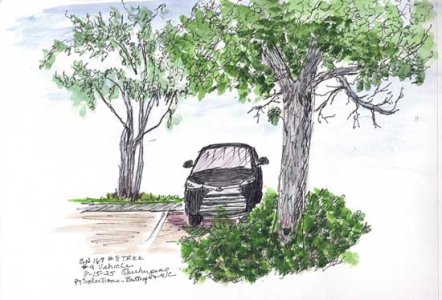 csshfl67tree-vehicle.jpg