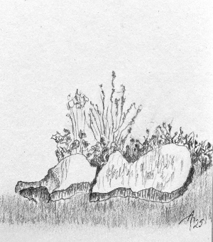 SH169 - 1a - flowers.png